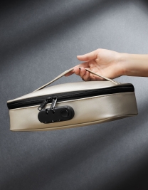 Сумочка для хранения секс-игрушек Discreet Box